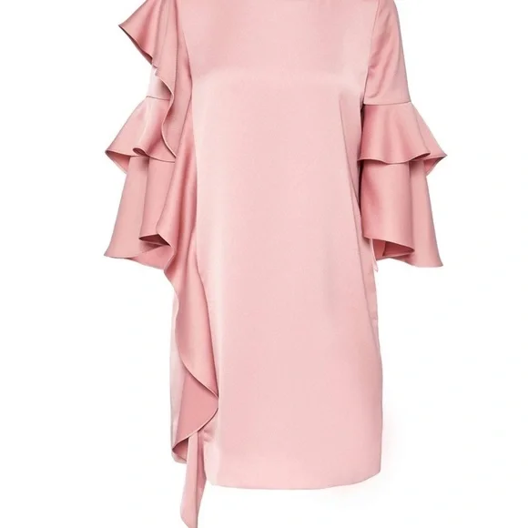 Ted Baker Pink Eicio Ruffle Ruffle Tunic Dress - Picture 15 of 15